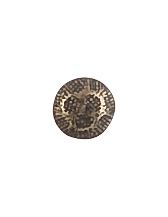 ΚΑΜΠΑΡΑΣ 9H OX - Image 1